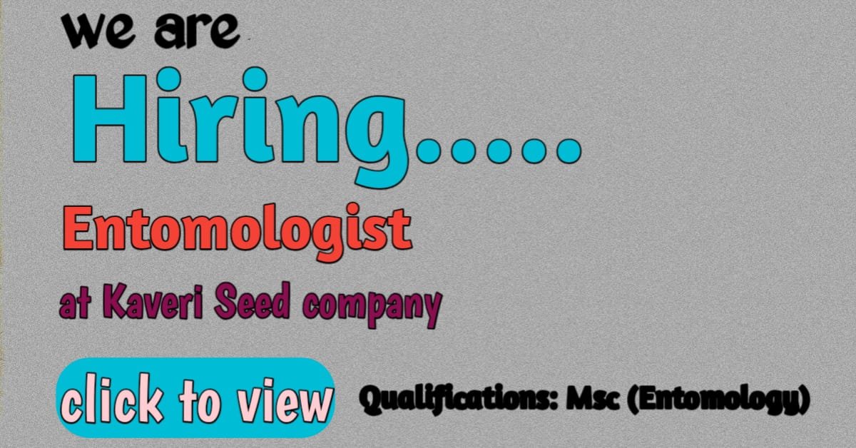 Hiring ENTOMOLOGIST (PLANT HEALTH) At Kaveri Seeds! 2025